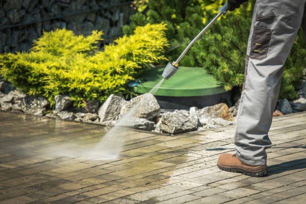 Best Winterizing Services  in Succasunna, NJ