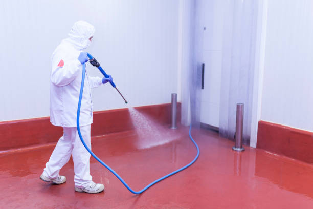 Best Paint Preparation  in Succasunna, NJ