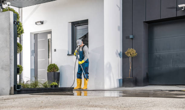 Best Roof Washing  in Succasunna, NJ